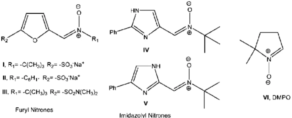 Figure 2.3: Heteroarylnitrones with neuroprotective and spin trapping properties. 