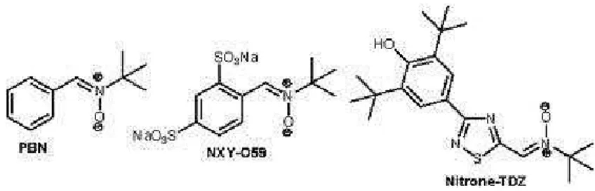 Figure 2.4: Chemical structure of PBN, NXY-059 and Nitrone-TDZ. 