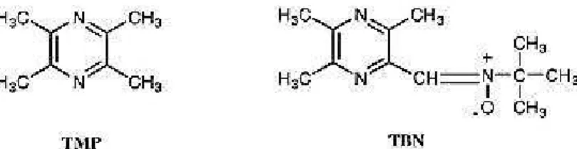 Figure 2.5: Chemical structure of TMP and TBN.