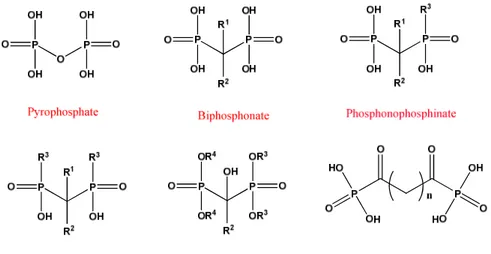 Figure  3.1:  Structure  of  the  endogenous  pyrophosphonate  and  its  synthetic 