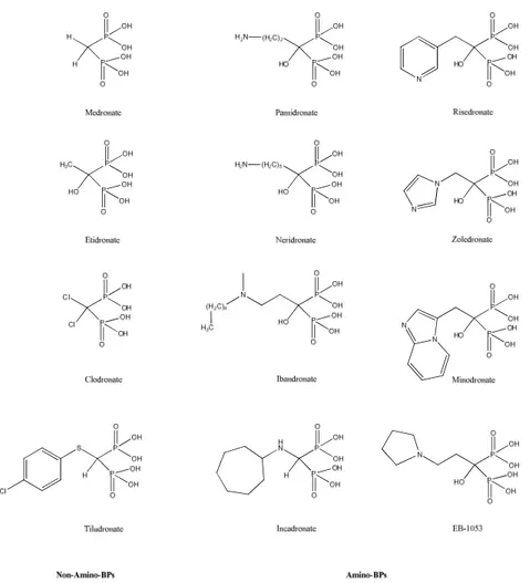 Figure 3.2: Examples of BP class of compounds currently used in a clinical setting. 