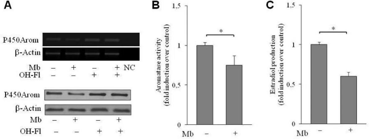 Figure 11. Androgen-dependent modulation of P450 aromatase in R2C cells (A) Modulation of  aromatase  expression  by  Mb