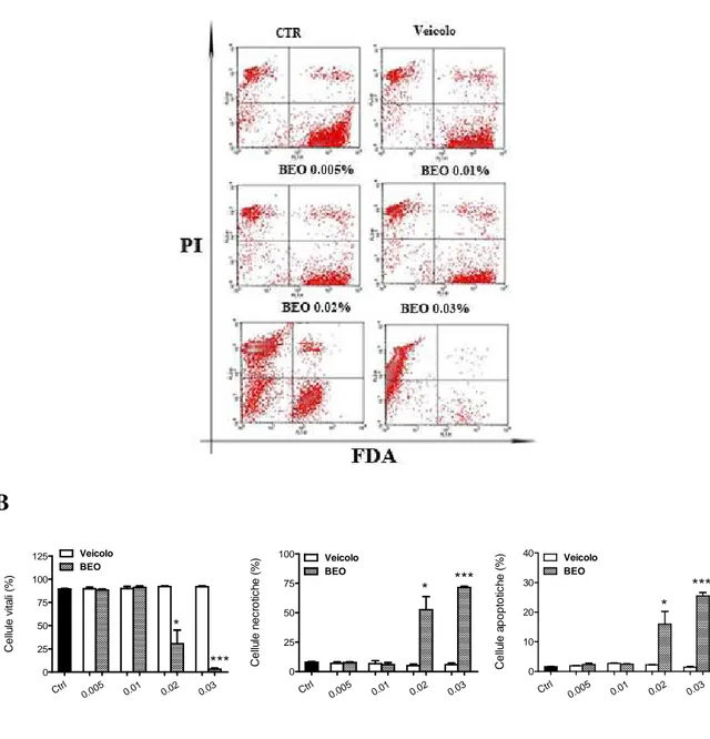 Fig 4.2) La riduzione della vitalità cellulare indotta da esposizione per 24 h al BEO è associata ad aumen- aumen-to della percentuale di cellule necrotiche e apopaumen-totiche, in colture SH-SY5Y
