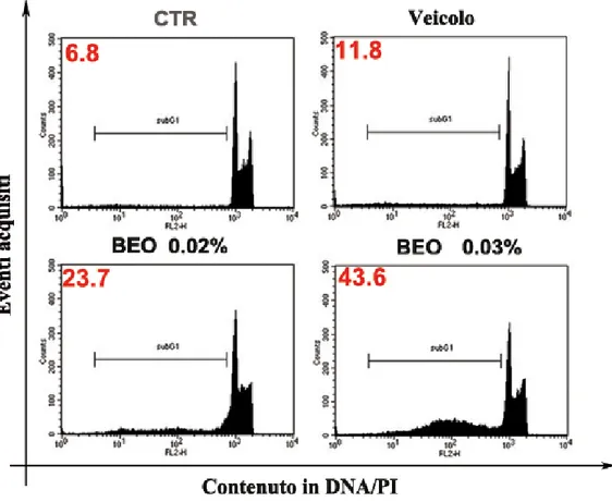 Fig. 4.3) Il BEO induce una rapida frammentazione del DNA in cellule di neuroblastoma SH-SY5Y