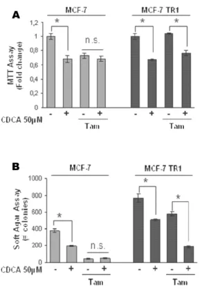 Figure 6. Effects of FXR ligand on tamoxifen-resistant breast cancer cells. (A) MTT growth assay in MCF-7 and MCF-7 