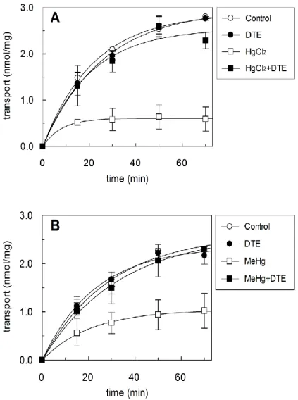 Figura  1:  Effetto  dei  HgCl 2  e  MeHg  sull’antiport  di  carnitina  mediato  dal  trasportatore  ricostituito:  i 