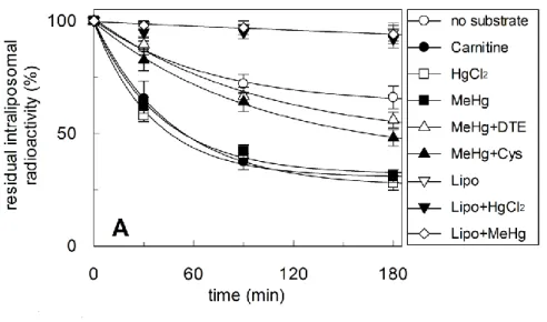 Figura  7A:  efflusso  di  3 H-carnitina  mediato  dal  sistema  ricostituito  in  presenza  di  mercuriali:  I  proteoliposomi  sono  stati  premarcati  come  descritto  in  Materiali  e  Metodi  (○,■,Δ,  □,▲,  ●)