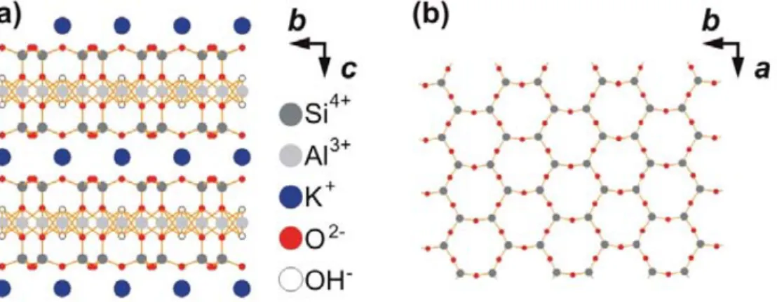 Figure 1.8:  Schematic representation of the muscovite mica crystal structure. Vectors a  and  b  define the 