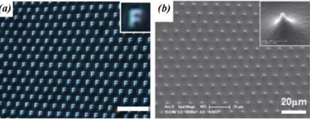 Figure  I.3:  (a)  Optical  microscopy  image  of  letter  “F”  projected  through  an  array  of 