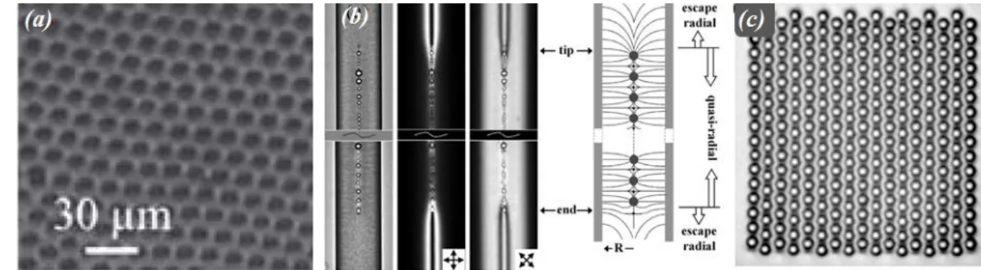 Figure I.5: Optical micrographs of (a) hexagonal colloid crystals of a curved nematic/air 