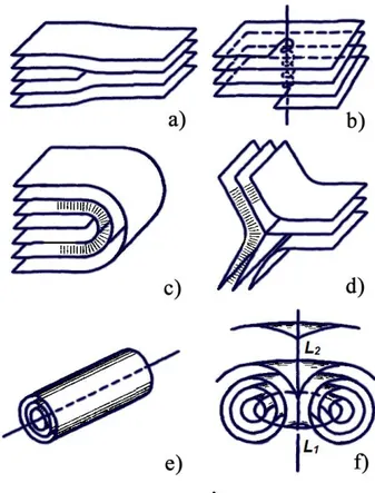 Figure 1.8: Topology of the defects in smectic A liquid crystals 115 : (a) edge dislocations,  (b)  screw  dislocations,  (c)  wedge  disclinations  with  topological  charge  m = +1/2,  (d)  wedge disclinations with topological charge m = -1/2, (e) roll, 