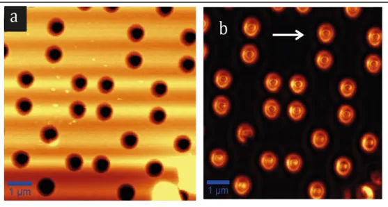 Figure 7.12 shows the present cavity modes and topographic images in 750 nm diam- diam-eter nanocavities
