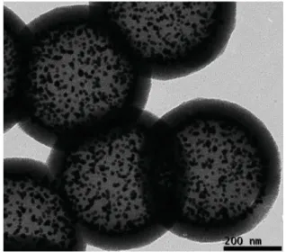 Figure 6.9 shows designed and fabricated plasmonic structures, with a diameter of 530 nm, resembling a reverse bumpy ball configuration in which multiple Au NPs are  en-grafted on the inner walls of porous silica capsules, as described in above synthesis s
