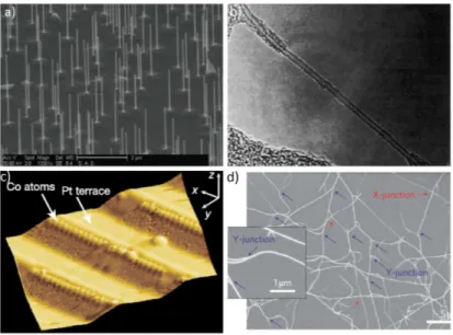 FIG. 1. a) InAs quantum wires grown on the InAs (111)B surface from 40 nm diameter Au colloids dispersed from solution [picture from: ”Electron transport in indium arsenide nanowires”, Shadi A