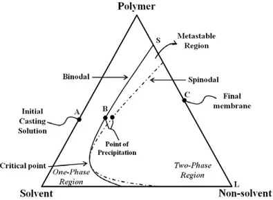 Figure 1.4. Three components phase diagram of isothermal immersion  precipitation process [7]