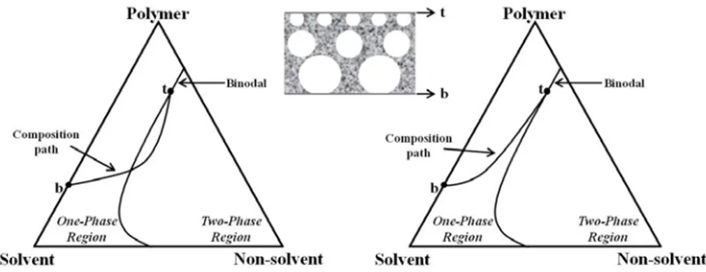 Figure 1.6. Schematic composition path of the cast film by the  instantaneous demixing (left) and delaying demixing (right)