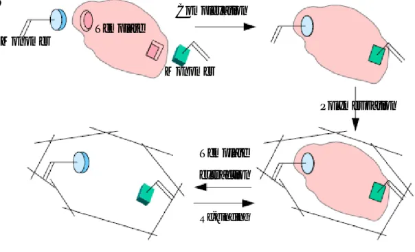 Figure P.1: Principle of the molecular imprinting technique. 
