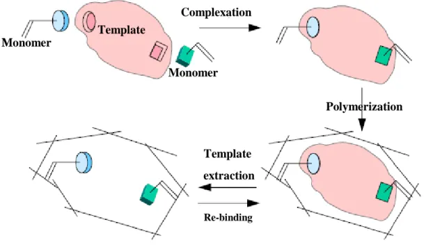 Figure P.1: Rappresentazione dello stampo molecolare. 