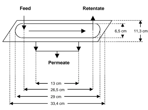 Figura 2.9 - Schematizzazione del percorso seguito dal feed all’interno della 
