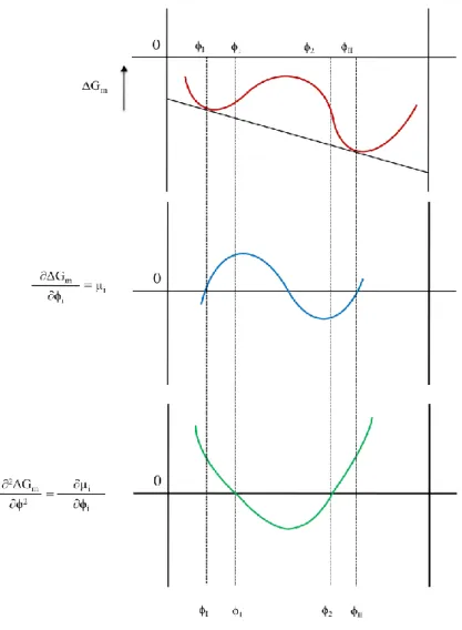 Fig. 2.12  Diagrams of the Free enthalpy of mixing ΔG m   , the first and the second derivates for a 