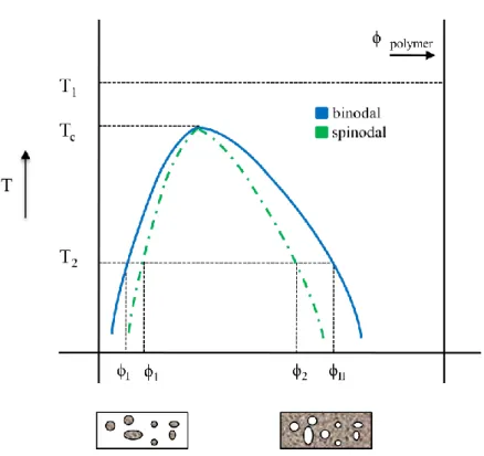 Fig. 2.13  Diagrams of the binodal and the spinodal curves for a polymeric solution as function  