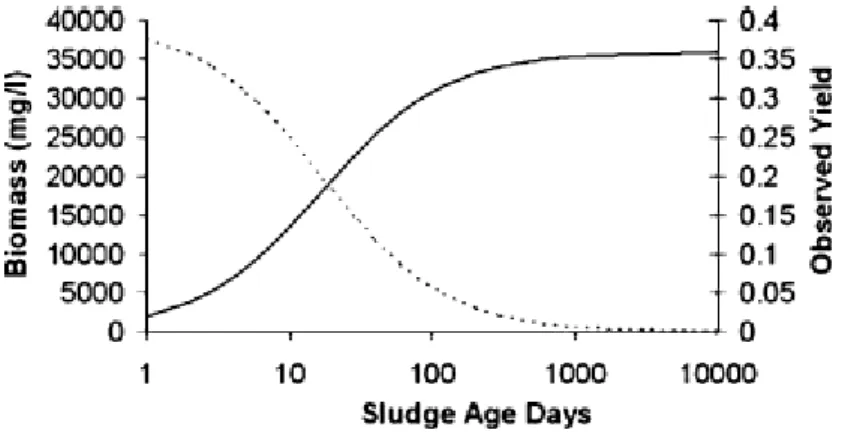 Fig. 2.12 : Net observed yield and biomass concentration as a function of sludge age  in 