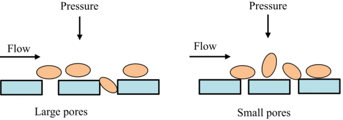 Fig. 2.18 : Mechanism of membrane fouling by particulates, showing the effect of pore  size in relation to particle size (Cassano et al, 2005, p.100)