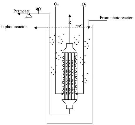Figure II.4: Scheme of the permeation cell with submerged membranes.