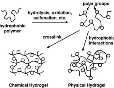 Figure 1.4 Methods for hydrogels production by chemical modification of hydrophobic polymers  [33]