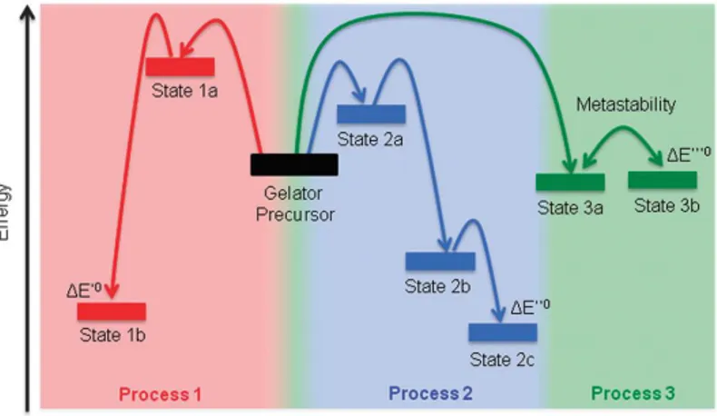 Figure 1.13 Schematically shown of process-dependent pathways of gelator assembly [50]