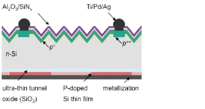 Figure 1.3: Sketch of TOPcon solar cell [20][23] 