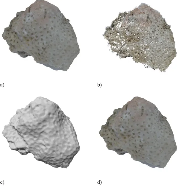 Figure 2.15. Second case study, T2 specimen: one of the input image (a), the 3D point cloud (b), the  reconstructed polygonal mesh (c) and the final textured 3D model (d)