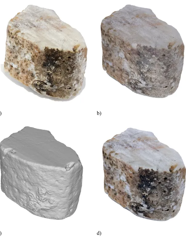 Figure  2.20. Third case study, M1 specimen: one of the input image (a), the 3D point cloud (b), the  reconstructed polygonal mesh (c) and the final textured 3D model (d)