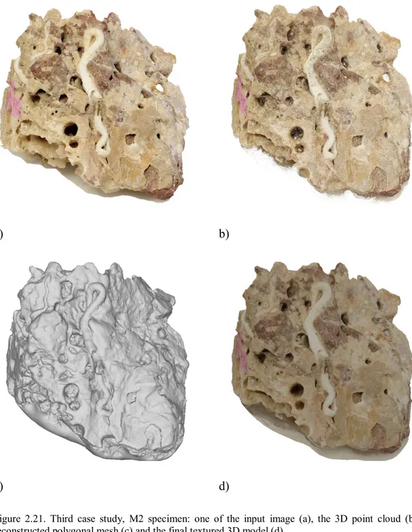 Figure  2.21. Third case study, M2 specimen: one of the input image (a), the 3D point cloud (b), the  reconstructed polygonal mesh (c) and the final textured 3D model (d)
