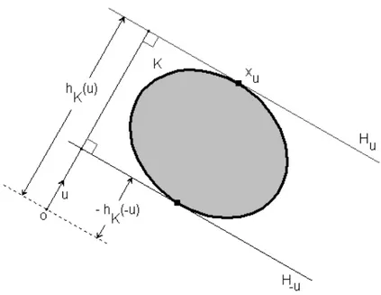 Figure 1.1: The support function Definition 1.1.4 (Star-shaped set).