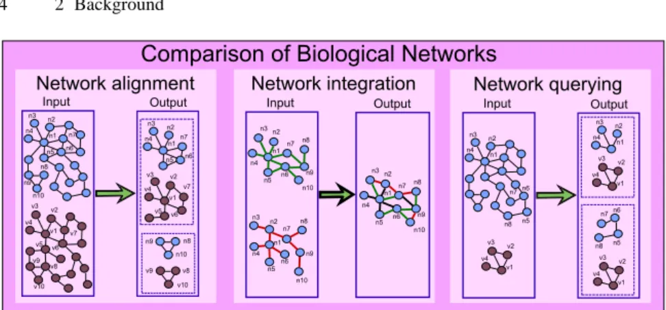 Fig. 2.7. Comparing biological networks: the three main ways.