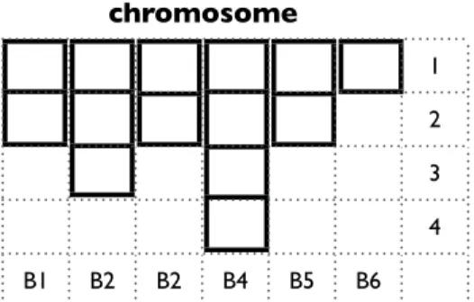 Figure 1.14: OMEGA’s chromosome structure