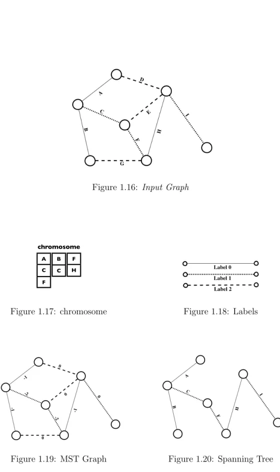 Figure 1.16: Input Graphchromosome1234B1B2B2B4B5B6 A C F F HBC chromosome lunedì 26 ottobre 2009