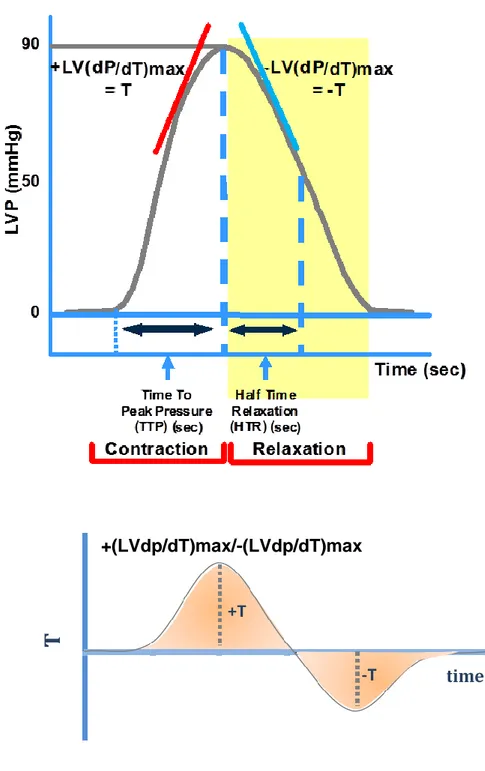 Fig.  11:  Rappresentazione  grafica  dei  parametri  emodinamici  valutabili  mediante  il  sistema  di 