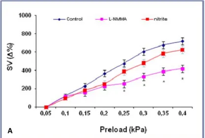 Fig.  11.  Effetti  del  trattamento  con  L‐NMMA  (10 ‐5 M;  curva  rosa)  e  nitrito  (10 ‐6 M;  curva  rossa)  sulla  risposta di Frank‐Starling in condizioni normossiche (A) ed ipossiche (B).         A B 