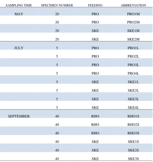 Table  2.1.  Copepod  collections  including  information  on  sampling  month,  number  of  specimens  fed  and  frozen  for  RNA  extraction,  algae  used  for  feeding  experiments and abbreviation of the treated groups