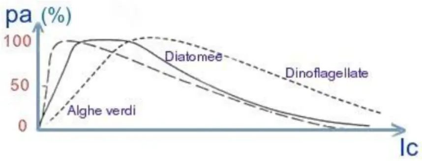 Figura B - Andamento dell‟attività fotosintetica (pa) in funzione dell‟intensità luminosa Ic (mW / cm²) 