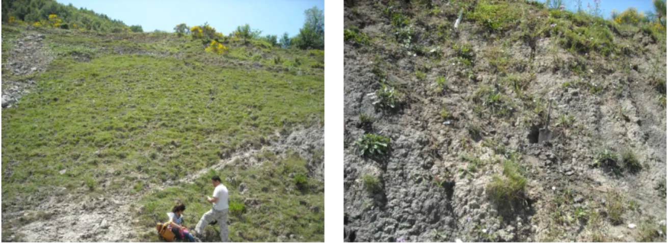 Figura 4.6 – Immagini dell’affioramento di argilla Mio-Pliocenica ad Ogliara, a) Veduta b) punto di campionamento 
