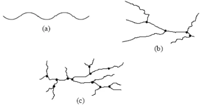 Figura 1.2    (a) copolimero lineare; (b) copolimero ramificato;                (c) copolimero ramificato- struttura dendridica 