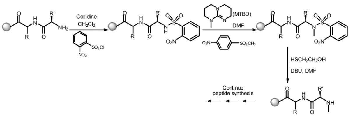 Figure 2.   H N NH 2O R O R' CollidineCH2Cl2 NO 2 SO 2 Cl HN NHOROR' SO OO2N HN NOROR' SO OO2NNNN(MTBD)DMFO2NSO2CH3 HSCH 2 CH 2 OH DBU, DMF H N NHO R O R'Continuepeptide synthesis