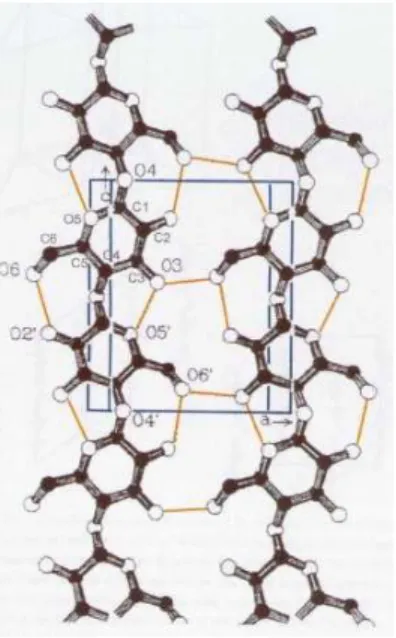 Fig. 1.3. Legami ad idrogeno inter- e intra-molecolari nella cellulosa. 4 