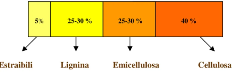 Fig. 2.1. Componenti della fibra vegetale 