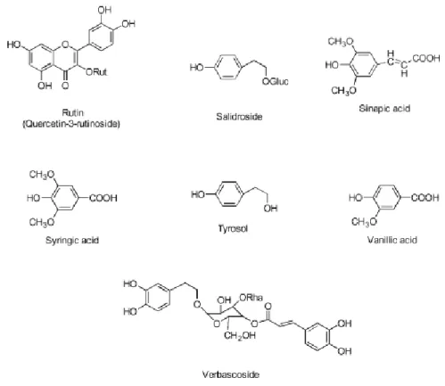 Figure 6. Structures of Phenolic Compounds 