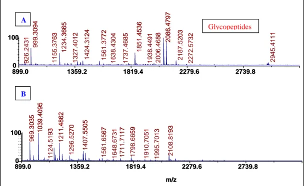 Figure 21.  MALDI-MS/MS spectra of 30kDa spot with (A) and without (B) PNGase F  digestion, recognised by   Mascott search as giІ18844956  putative beta 1,3-glucanase 