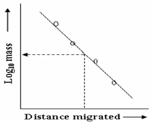 Fig. 12.  Determining relative molecular weight of an unknown protein by comparison of its  electrophoretic mobility with markers of known mass 